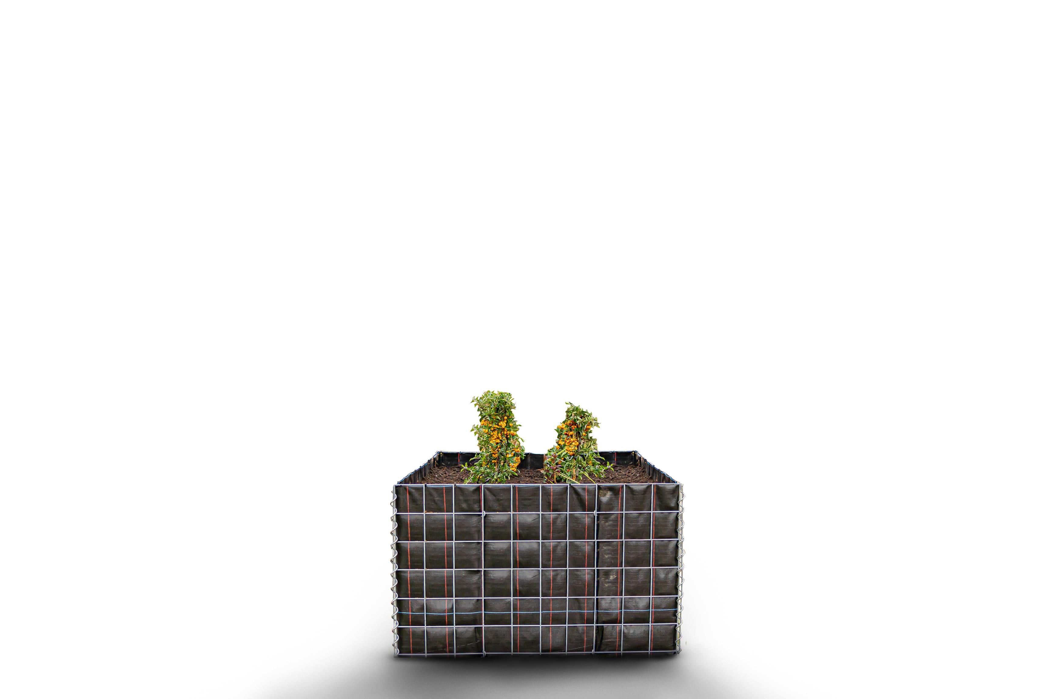 Hochbeet eckig ohne Steinbereich - Länge: 100 cm - Höhe: 60 cm - Tiefe: 100 cm - Maschenweite: 10 x 10 cm